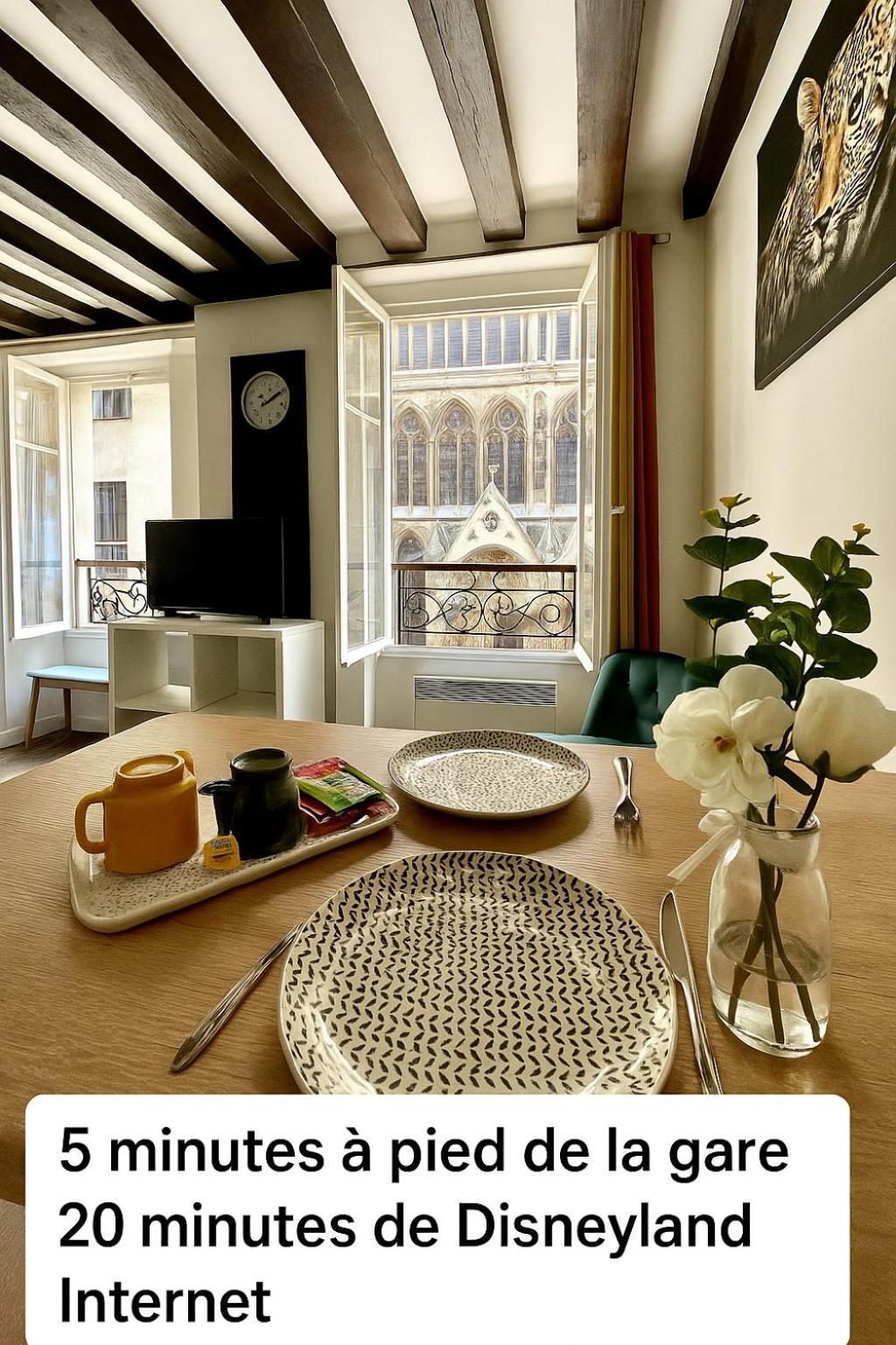 Appartement Vue Cathedrale- Centre Ville Meaux-Gare-Disney מראה חיצוני תמונה